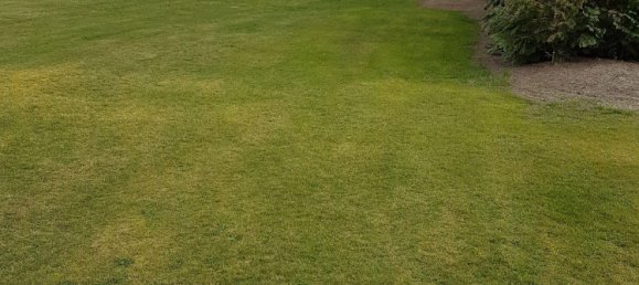 2-salle Bungalow à Luchow-Dannenberg, Germany No. 217931 5