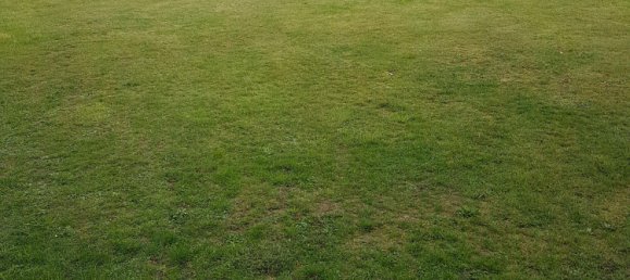 2-salle Bungalow à Luchow-Dannenberg, Germany No. 217931 4