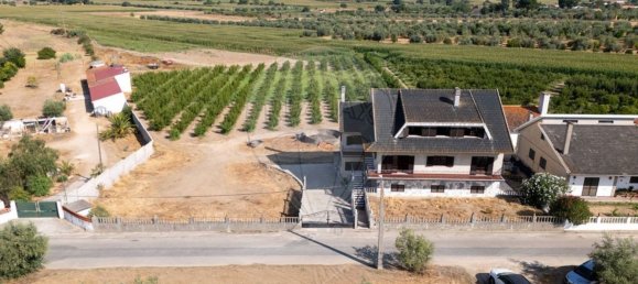 3 Schlafzimmer Haus in Chamusca, Portugal, Nr. 313886 21