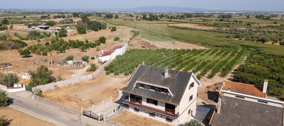 3 Schlafzimmer Haus in Chamusca, Portugal, Nr. 313886 19