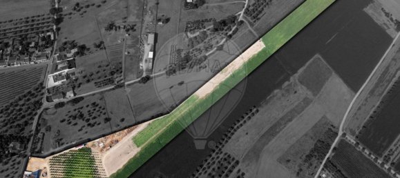 3 Schlafzimmer Haus in Chamusca, Portugal, Nr. 313886 24