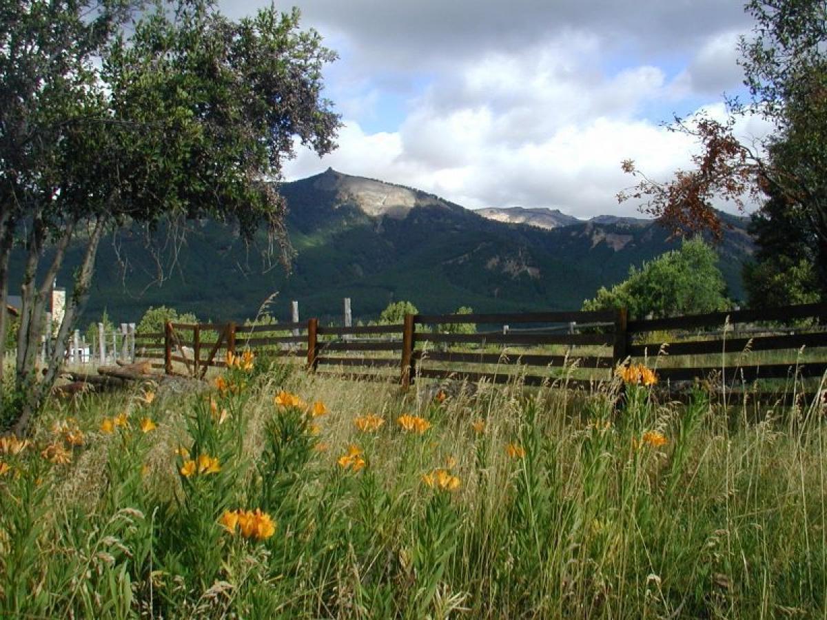  Land in Neuquen, Argentina No. 35546