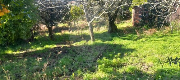 1200m² Land in Macas de Dona Maria, Portugal No. 90335 6
