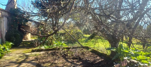 1200m² Land in Macas de Dona Maria, Portugal No. 90335 2