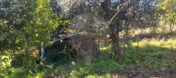 1200m² Land in Macas de Dona Maria, Portugal No. 90335 8