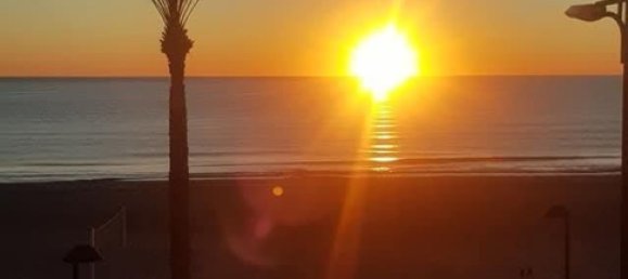 1 chambre Appartement à Alicante, Spain No. 139346 7