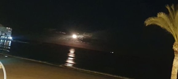 1 chambre Appartement à Alicante, Spain No. 139346 6