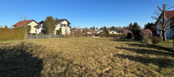 Terreno em Thalheim bei Wels, Austria N.º 165316 5