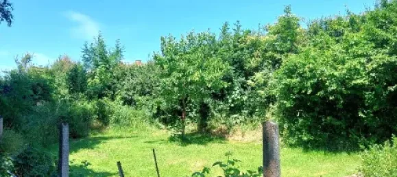 Таунхаус с 5 комнатами в Фульда, Германия № 219330 23