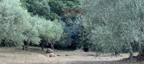 3 bedrooms House in Roccastrada, Italy No. 140927 34