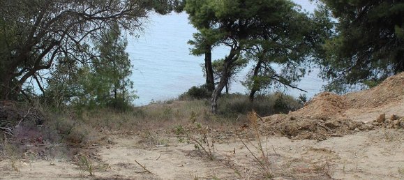 Hotel in Chalkidiki, Greece 4320m², Nr. 7952 2