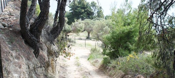 Hotel in Chalkidiki, Greece 4320m², Nr. 7952 3