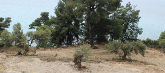 Hotel in Chalkidiki, Greece 4320m², Nr. 7952 5