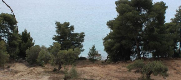 Hotel in Chalkidiki, Greece 4320m², Nr. 7952 4