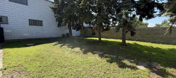 6 rooms Bungalow in Hornstein, Austria No. 256702 19