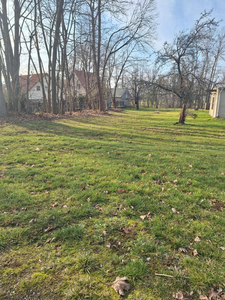  قطعة أرض في Saxony, Germany رقم 132333