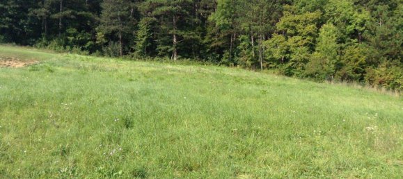 Grundstück in Baden, Austria, Nr. 249786 2