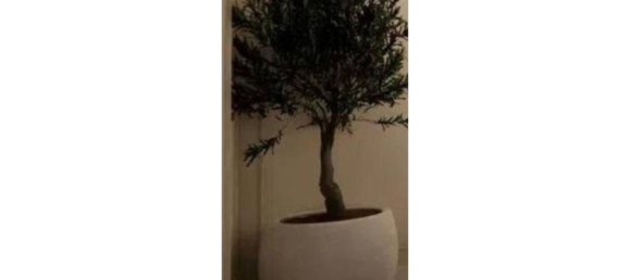 3 غرف نوم شقة في Madrid, Spain رقم 98414 21