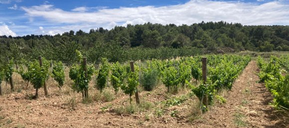 Castillos de 6 habitaciónes en Narbonne, France No. 292575 7