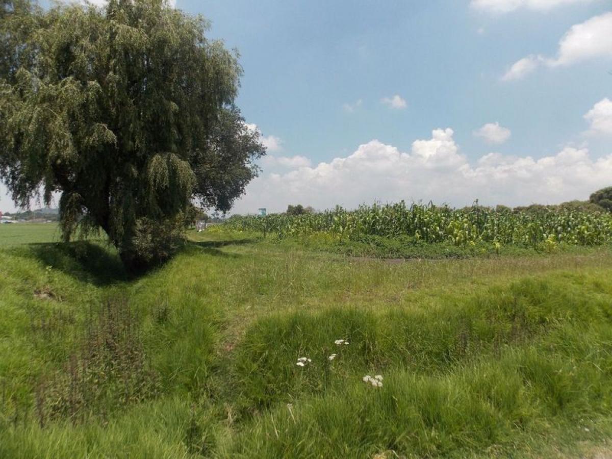  قطعة أرض في Mexico رقم 203857