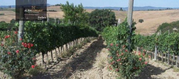 6غرفة فندق في Montalcino, Italy رقم 118527 18