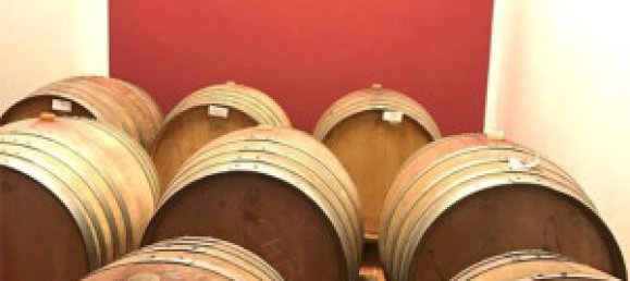 6غرفة فندق في Montalcino, Italy رقم 118527 28