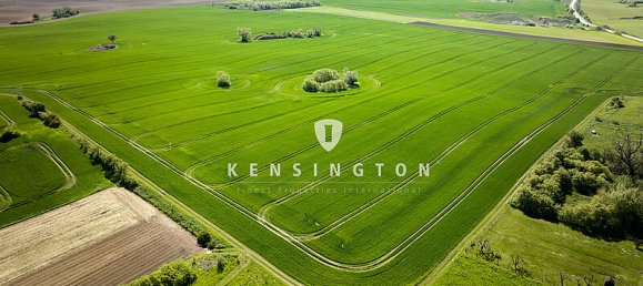 25 rooms Farm in Barnim, Germany No. 52867 8