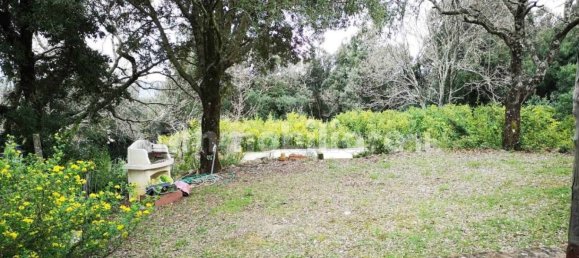 2 bedrooms Villa in Massa Marittima, Italy No. 222526 9