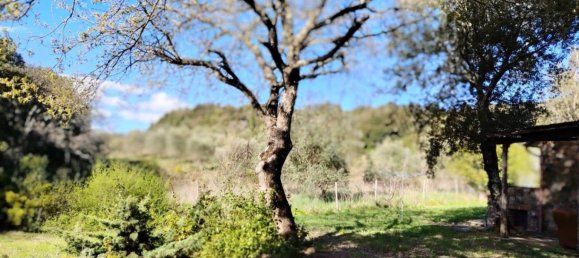 2 bedrooms Villa in Massa Marittima, Italy No. 222526 23