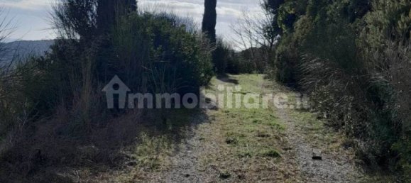 2 bedrooms Villa in Massa Marittima, Italy No. 222526 3