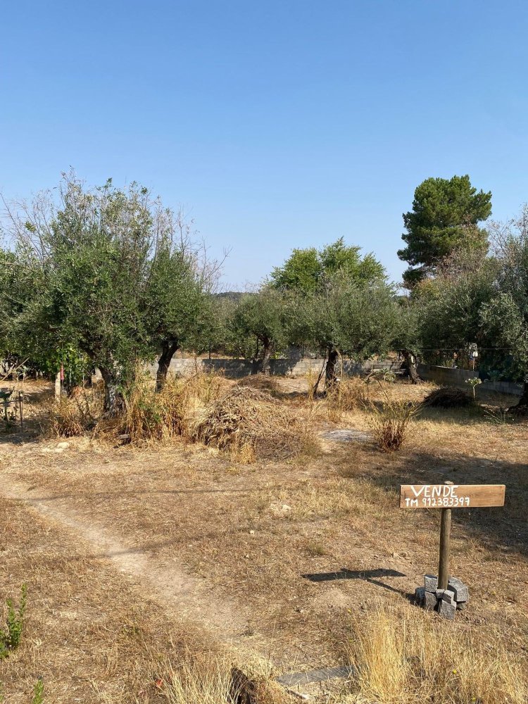 Terreno em Crato, Portugal N.º 331766