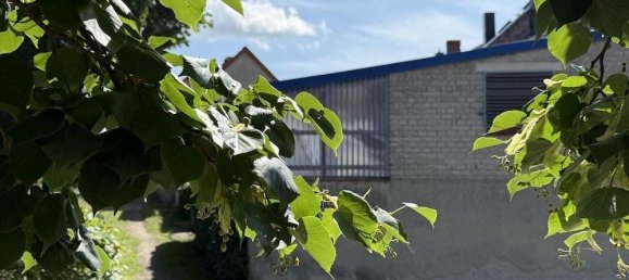 Casa de 4 divisões em Wittenberg, Germany N.º 270840 15