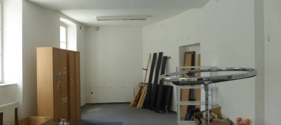 119m² Commercial property in Grossweikersdorf, Austria No. 118836 5