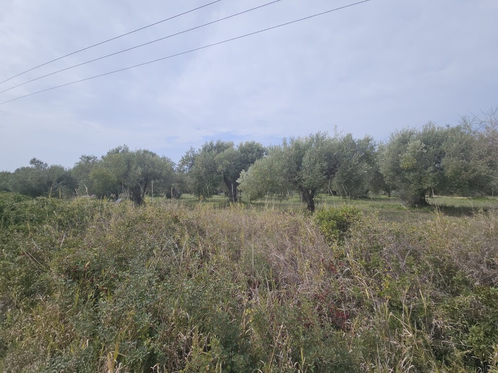 Grundstück in Chalkidiki, Greece 5100m², Nr. 93436