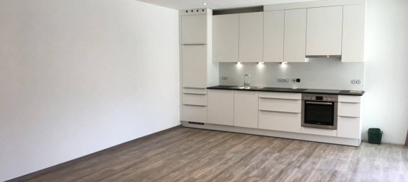 2-Zimmer Wohnung in Zell am See, Austria, Nr. 13417 3