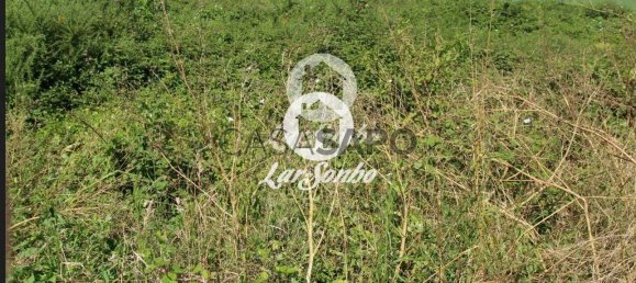 Grundstück in Barcelos, Portugal, Nr. 325980 20