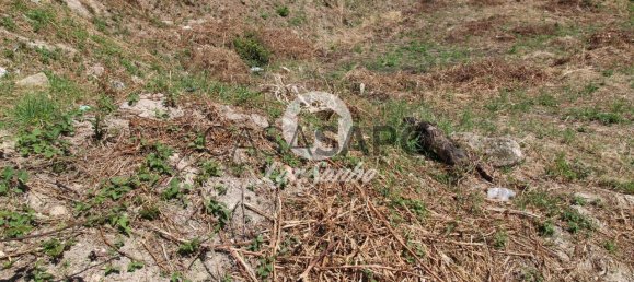 Grundstück in Barcelos, Portugal, Nr. 325980 10