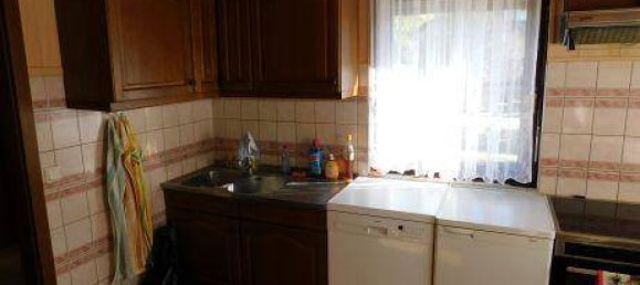 4-Zimmer Haus in Wolkersdorf im Weinviertel, Austria, Nr. 251427 3