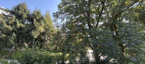 2 rooms Apartment in Liezen, Austria No. 124849 3