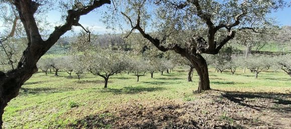 3 chambres Villa à Moscufo, Italy No. 53051 46