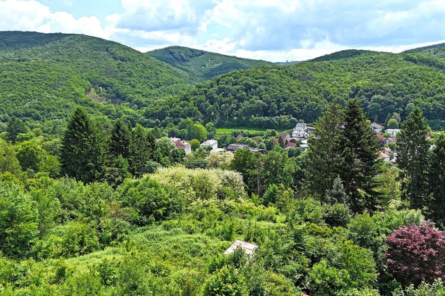  Land in Purkersdorf, Austria No. 106574