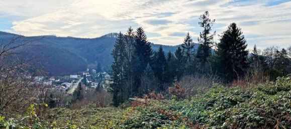  Land in Purkersdorf, Austria No. 106574 4