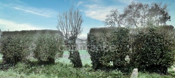 296m² Land in Verines, France No. 337737 5