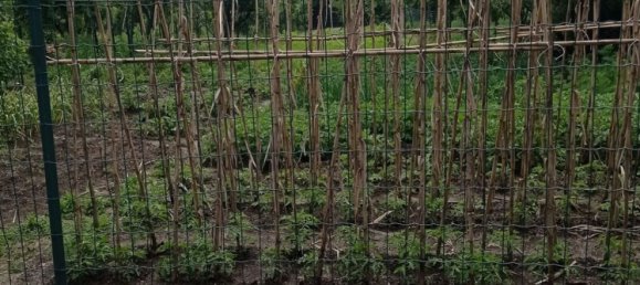 3-salle Maison à Camino, Italy No. 256377 26