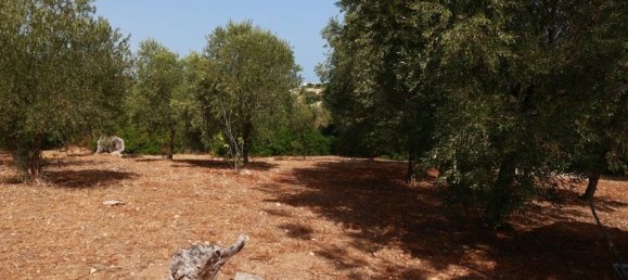 5 Schlafzimmer Villa in Polignano a Mare, Italy, Nr. 327829 21