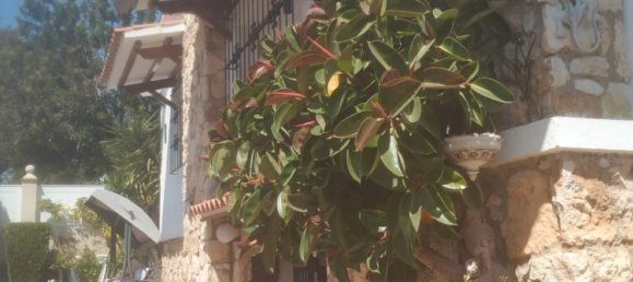 Дом с 4 спальнями в Рода-де-Бара, Испания № 158521 46