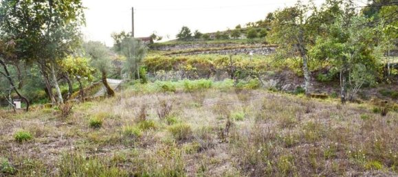 3 bedrooms House in Rio Douro, Portugal No. 36714 4