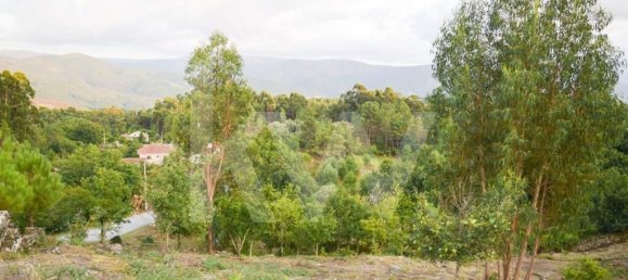 3 bedrooms House in Rio Douro, Portugal No. 36714 10