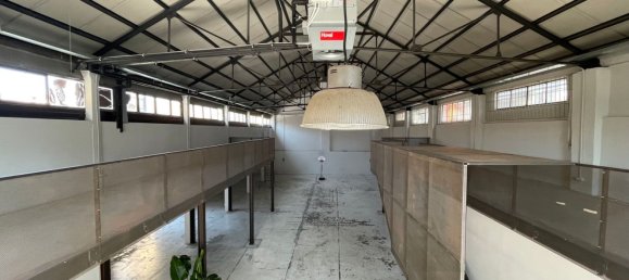 730m² Warehouse in Milan, Italy No. 249813 18