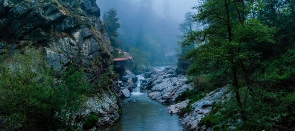 2 غرف نوم منزل في Paredes, Portugal رقم 116863 28